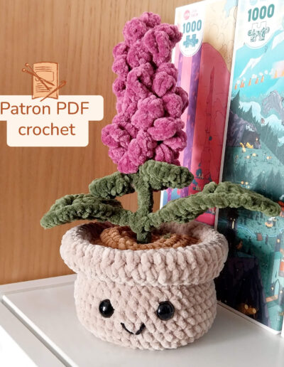 Patchouli patron crochet